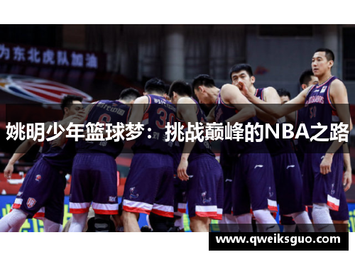 姚明少年篮球梦：挑战巅峰的NBA之路