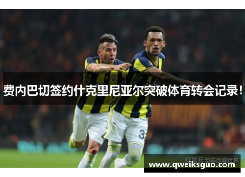 费内巴切签约什克里尼亚尔突破体育转会记录！